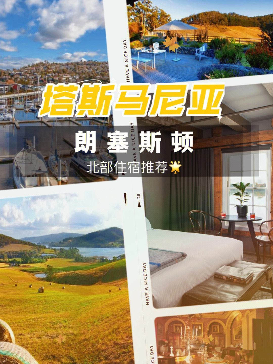 塔斯马尼亚联新星爆发,挑战卡尔蒂斯防线坚固 塔斯马尼亚联新星爆发,挑战卡尔蒂斯防线坚固