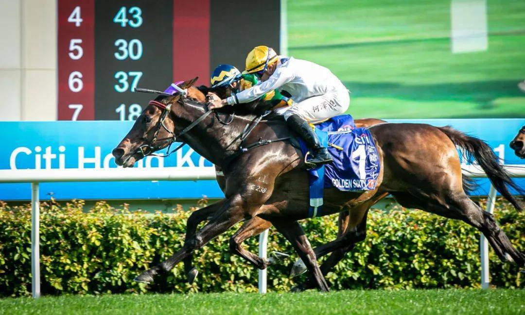 公牛队队员轮番上阵,力拼绝杀夺胜的简单介绍 公牛队队员轮番上阵,力拼绝杀夺胜的简单介绍