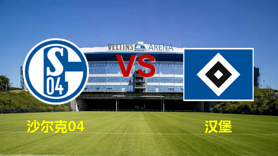 沙尔克全力争胜,实现稳定战绩 沙尔克全力争胜,实现稳定战绩